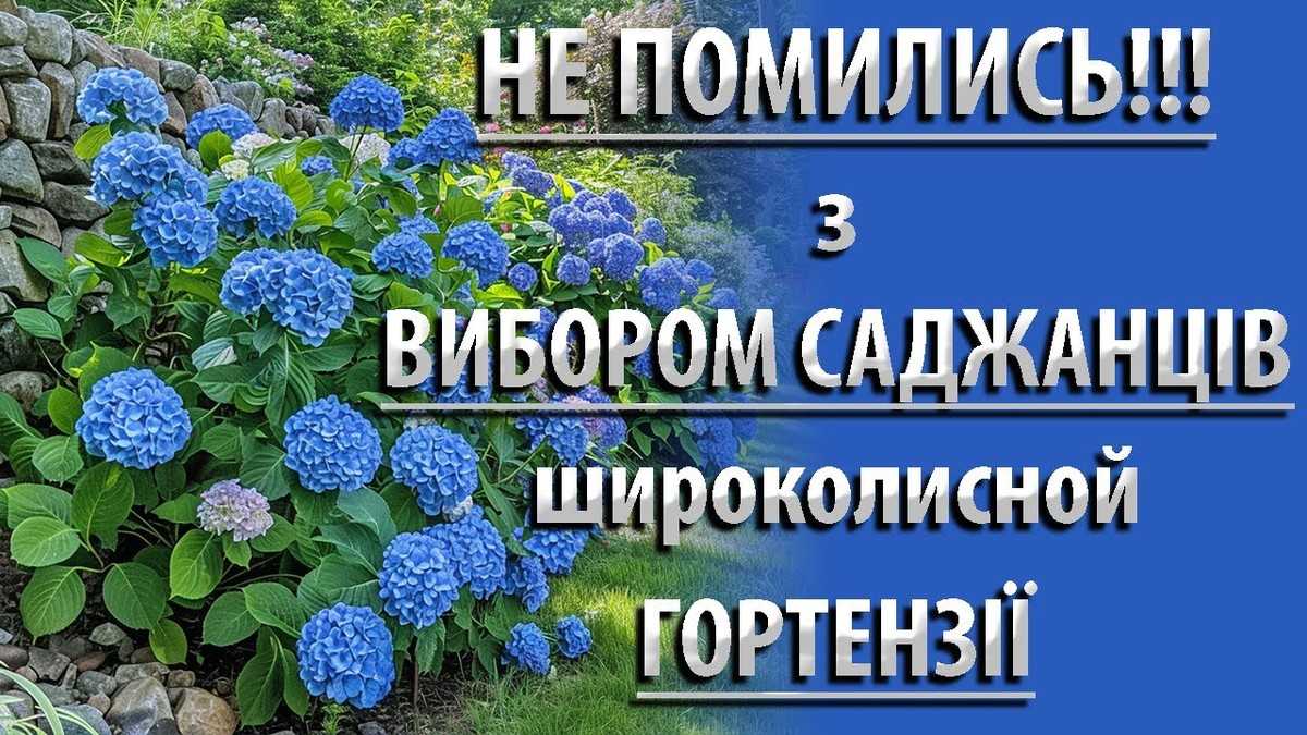 Як обрати човен